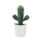 Artificial Plants