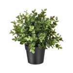 Artificial Plants & Pots