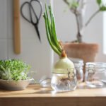 KORKEN Jar with lid, clear glass, 0.5 l - Image 5