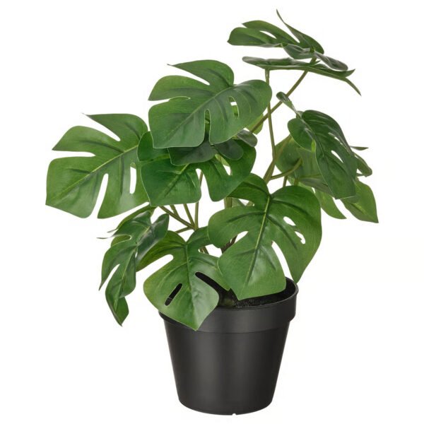 FEJKA Artificial potted plant, in/outdoor Monstera, 12 cm