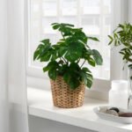 FEJKA Artificial potted plant, in/outdoor Monstera, 12 cm - Image 2