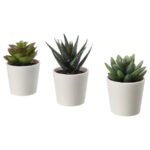 FEJKA Artificial potted plant with pot, in/outdoor Succulent, 6 cm 3 pack