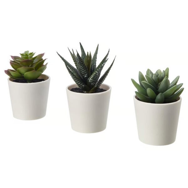 FEJKA Artificial potted plant with pot, in/outdoor Succulent, 6 cm 3 pack