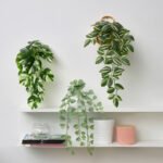 FEJKA Artificial plant with wall holder, in/outdoor/green - Image 2