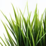 FEJKA Artificial potted plant, in/outdoor grass, 9 cm - Image 6