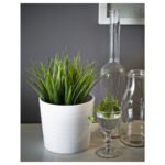 FEJKA Artificial potted plant, in/outdoor grass, 9 cm - Image 7