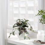 FEJKA Artificial potted plant, in/outdoor Spiderwort, 9 cm - Image 2