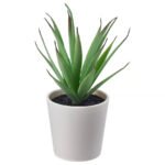 FEJKA Artificial potted plant with pot, in/outdoor Succulent, 6 cm