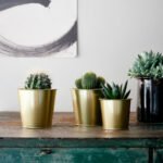 DAIDAI Plant pot, brass-colour, 9 cm - Image 3