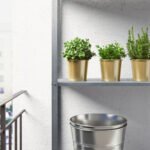 DAIDAI Plant pot, brass-colour, 9 cm - Image 7