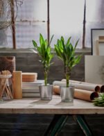 BINTJE Plant pot, galvanised, 9 cm - Image 2