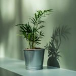 BINTJE Plant pot, galvanised, 9 cm - Image 4