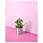 BINTJE Plant pot, galvanised, 9 cm - Image 6