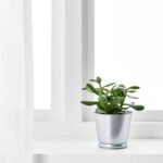 BINTJE Plant pot, galvanised, 9 cm - Image 8