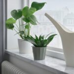 BUSKVERK Plant pot, in/outdoor grey, 9 cm - Image 2