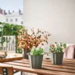 BUSKVERK Plant pot, in/outdoor grey, 9 cm - Image 3