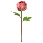 SMYCKA Artificial flower, Peony/dark pink, 30 cm