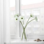 SMYCKA Artificial flower, Gerbera/white, 50 cm - Image 3