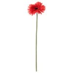 SMYCKA Artificial flower, Gerbera/red, 50 cm