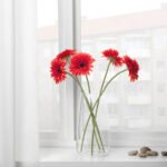 SMYCKA Artificial flower, Gerbera/red, 50 cm - Image 3