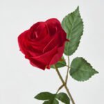 SMYCKA Artificial flower, in/outdoor/Rose red, 40 cm - Image 3