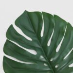 SMYCKA Artificial leaf, in/outdoor/Monstera green, 80 cm - Image 3