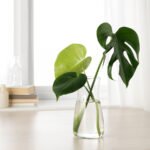 KARAFF Carafe, clear glass, 1.0 l - Image 3