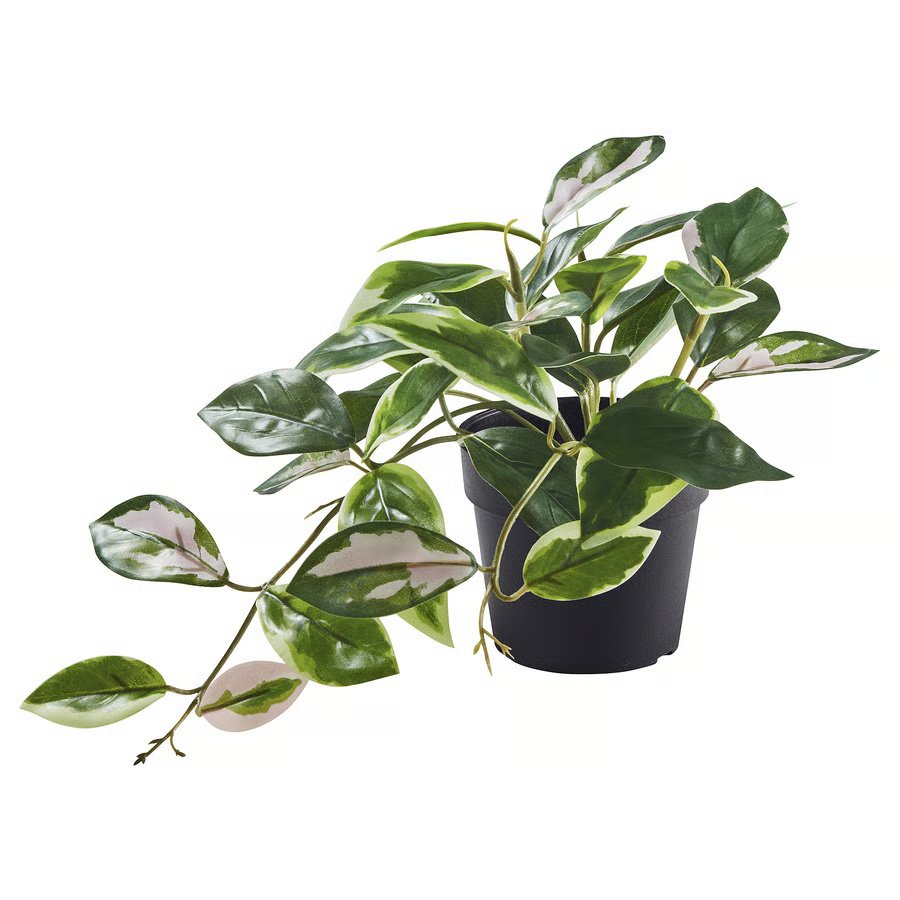 612-1 fejka-artificial-potted-plant-in-outdoor-wax-plant-hanging FEJKA Artificial potted plant, in/outdoor/Wax plant hanging, 9 cm - Image 1
