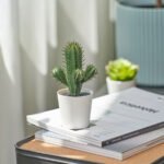 FEJKA Artificial potted plant, in/outdoor Cactus, 6 cm - Image 4