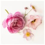 FRÖFINK Scented potpourri, pink flowers pink, 60 g - Image 5