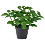 FEJKA Artificial potted plant, in/outdoor/basil, 9 cm