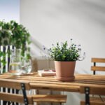 FEJKA Artificial potted plant, in/outdoor/flowering lilac, 12 cm - Image 2