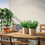 FEJKA Artificial potted plant, in/outdoor/Rosemary, 9 cm - Image 2