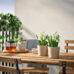 FEJKA Artificial potted plant, in/outdoor/snowdrop white, 9 cm - Image 3