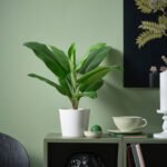 FEJKA Artificial potted plant, in/outdoor Banana tree, 12 cm - Image 2