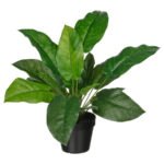 FEJKA Artificial potted plant, in/outdoor calathea, 12 cm
