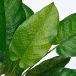 FEJKA Artificial potted plant, in/outdoor calathea, 12 cm - Image 4