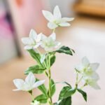 SMYCKA Artificial flower, in/outdoor Lisianthus/white, 60 cm - Image 4