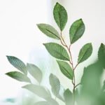 SMYCKA Artificial flower, in/outdoor foliage/green, 67 cm - Image 5