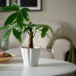 KVASTSPIREA Plant pot, in/outdoor/off-white, 12 cm - Image 2
