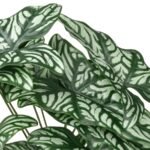 FEJKA Artificial potted plant, in/outdoor Wondrous cerces, 15 cm - Image 4