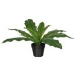 FEJKA Artificial potted plant, in/outdoor Crocodile fern, 12 cm