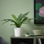 FEJKA Artificial potted plant, in/outdoor Crocodile fern, 12 cm - Image 2