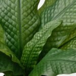 FEJKA Artificial potted plant, in/outdoor Crocodile fern, 12 cm - Image 4