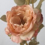 SMYCKA Artificial flower, in/outdoor/Rose golden-brown, 63 cm - Image 4