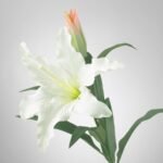 SMYCKA Artificial flower, Lily/white, 85 cm - Image 5