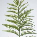 SMYCKA Artificial spray, in/outdoor/fern, 63 cm - Image 4