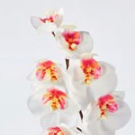 SMYCKA Artificial flower, in/outdoor/Orchid white, 60 cm - Image 4