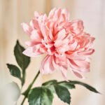 SMYCKA Artificial flower, in/outdoor Dahlia/light pink, 67 cm - Image 4