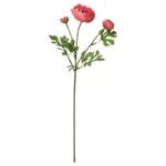 SMYCKA Artificial flower, in/outdoor Ranunculus/dark pink, 52 cm